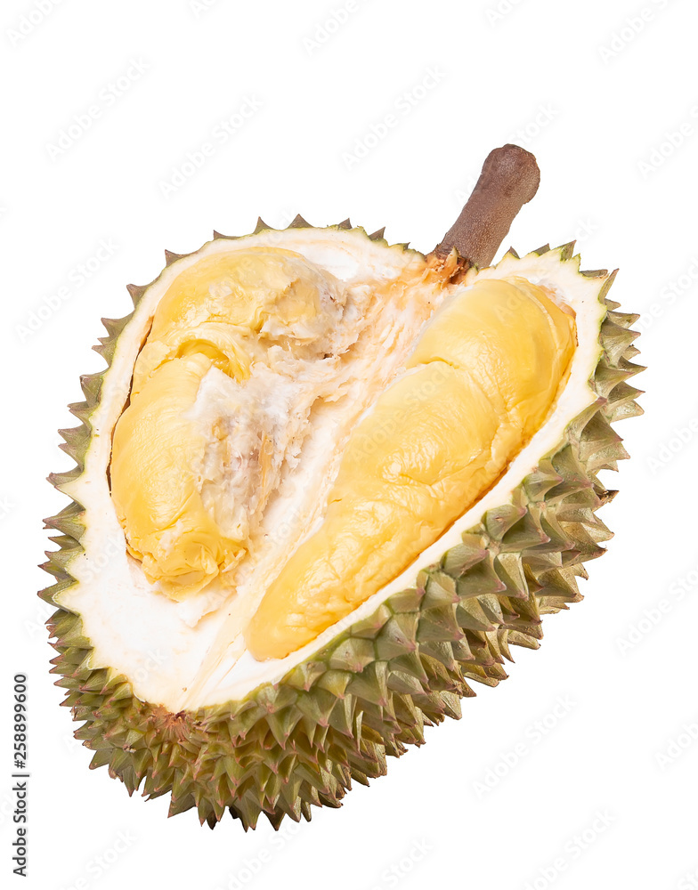 Fototapeta premium Durians cut through to see the yellow flesh. on the White Blackground