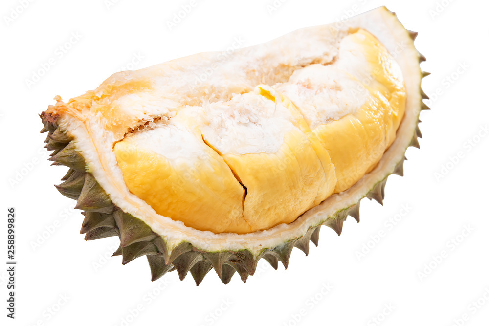 Fototapeta premium Durians cut through to see the yellow flesh. on the White Blackground