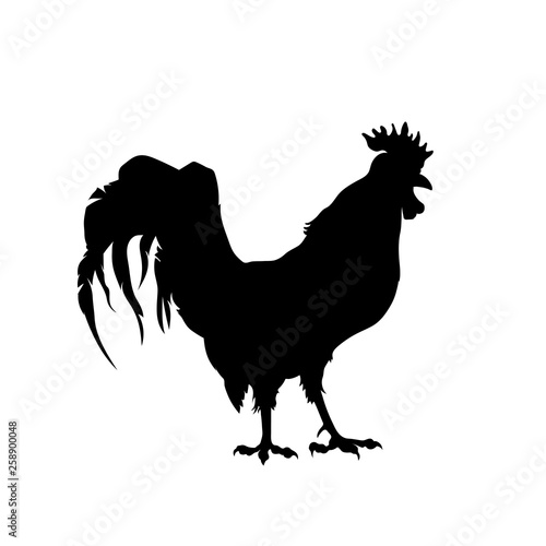 Black silhouette of rooster. Isolated cock profile. Icon of farm bird. Market logo