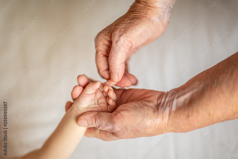 Fototapeta premium hands closeup. Mom and her Child. Happy Family concept. Beautiful conceptual image of Maternity. hands of young great-grandson and old great-grandmother