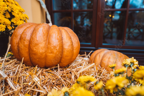 Autumn decoration with pumpkins and flowers on a street in a European city photo