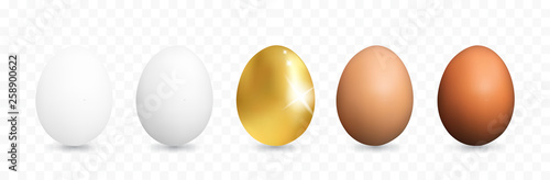 Set of Realistic White and Brown Whole Chicken Eggs