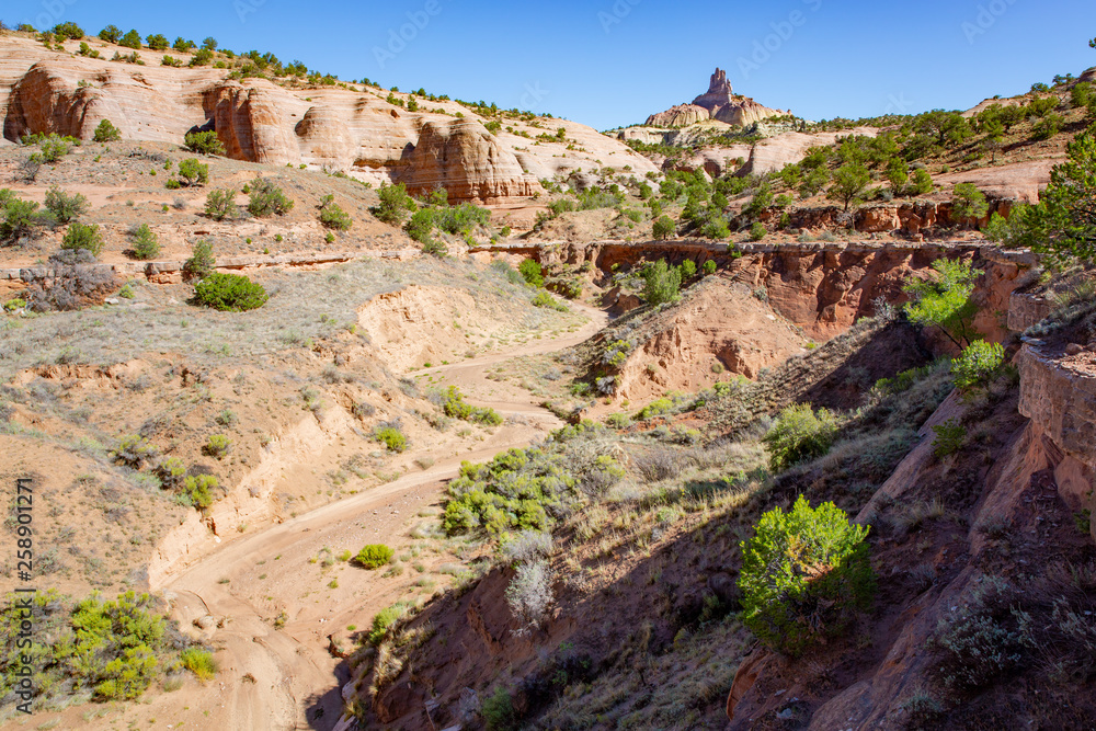 Red Rock Park near Gallup in New Mexico, USA