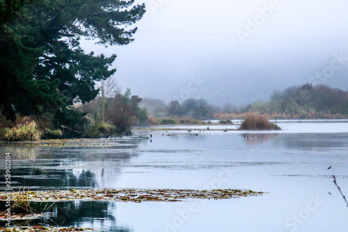 A tour around the reserve, Dunham Point Reserve, Kinleith, New Zealand photo