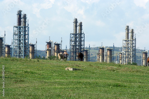 erdölraffinerie petrobrazi rumänien photo