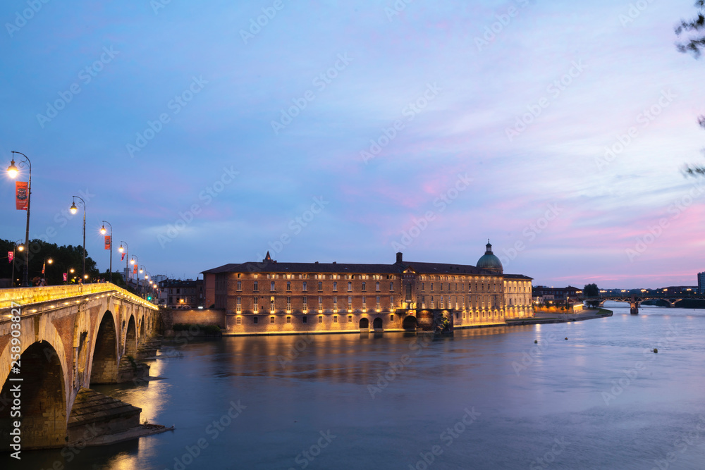 Obraz premium toulouse