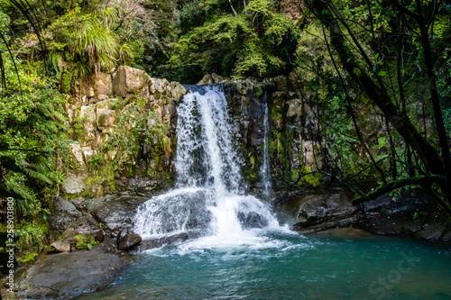 Waiau falls is a refreshing place to take a dip  Waiau Kauri Grove  Coromandel  New Zealand