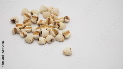 Job's Tears, also known as adlay and coix on white background. Popular in Asian cultures as a food source