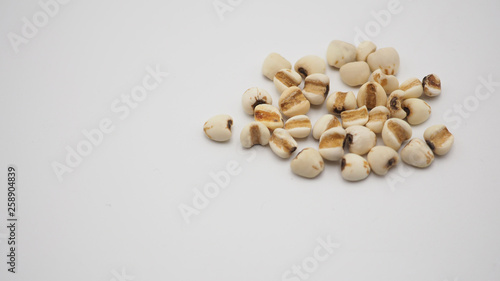 Job's Tears, also known as adlay and coix on white background. Popular in Asian cultures as a food source