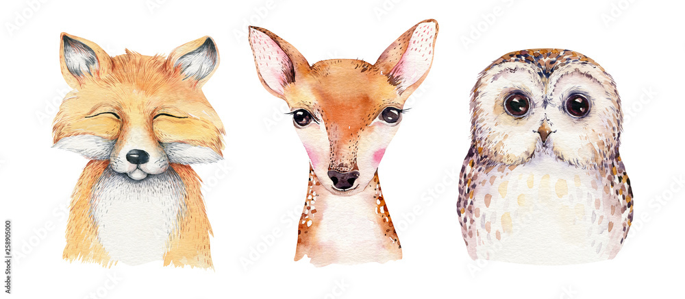 Watercolor set of forest cartoon isolated cute baby fox, deer, raccoon and owl animal with flowers. Nursery woodland illustration. Bohemian boho drawing for nursery poster, pattern - obrazy, fototapety, plakaty 