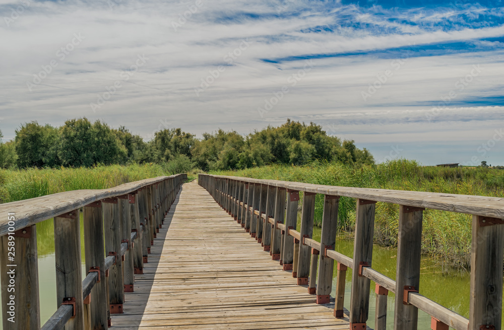 Puente de madera en el Parque Nacional de las Tablas de Daimiel. Ciudad Real. España. Puente de madera en el Parque Nacional de las Tablas de Daimiel. Ciudad Real. España.