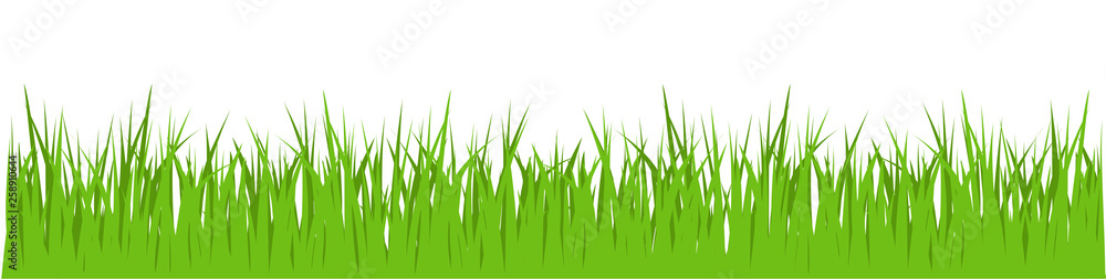 Fototapeta premium Green Gras Vektor