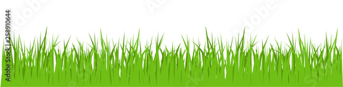 Green Gras Vektor