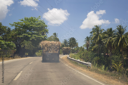 sugar cane trucks transportation in north of cebu with sugar cane fields banana plants and palmtrees on a countryside road a philippine rural scene 