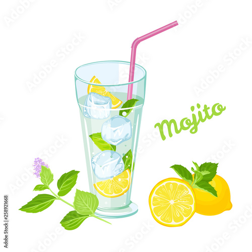 Mojito with ice cubes isolated on white background. Vector illustration of  refreshing cocktail in glass with straw. Fresh green leaves of mint, juicy lemon. Сartoon simple flat style.