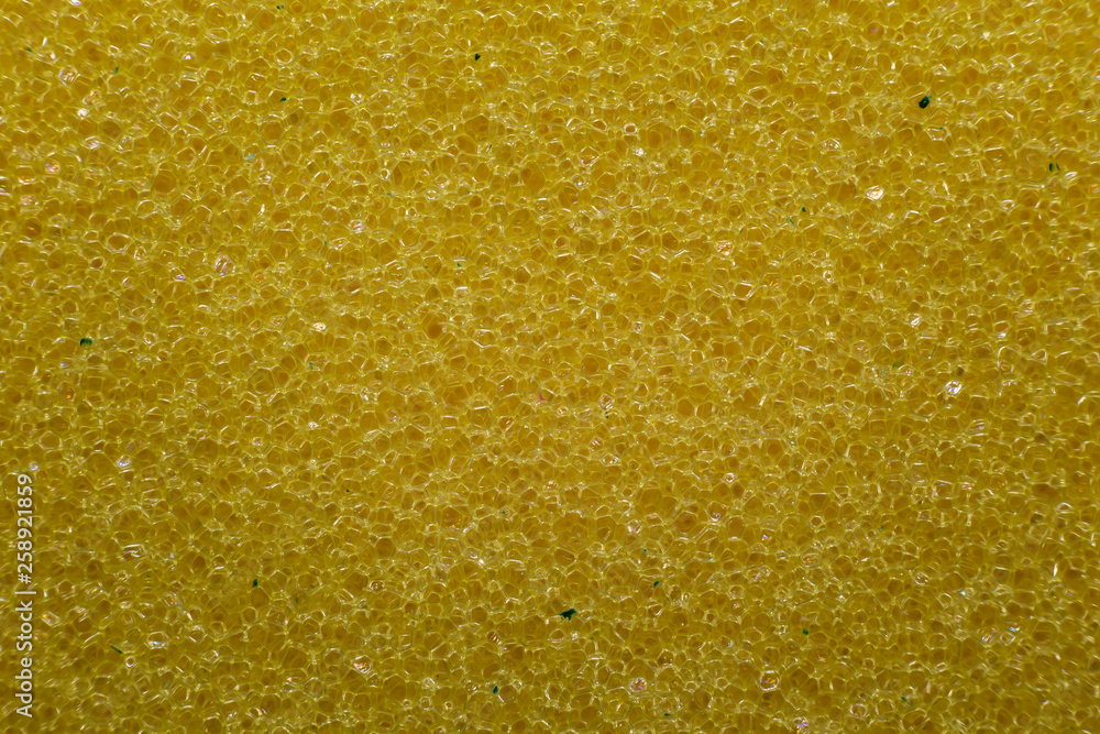 Sponge extreme macro background