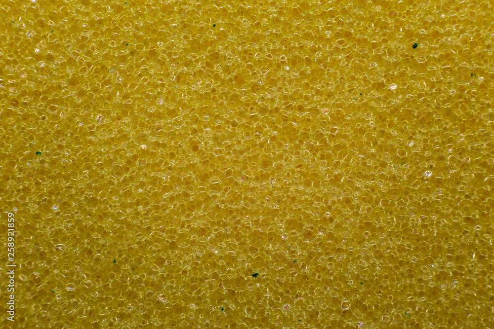 Sponge extreme macro background Sponge extreme macro background