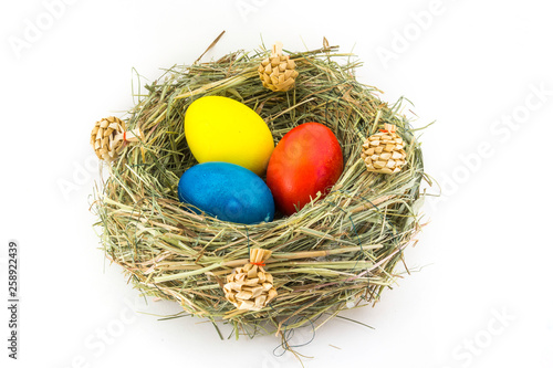 colored easter eggs in grass nest with bumps