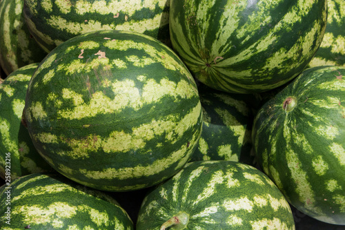 Watermelons for sale