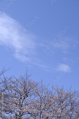 空
