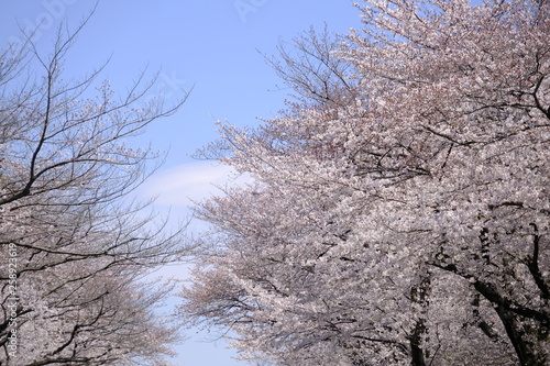 空
