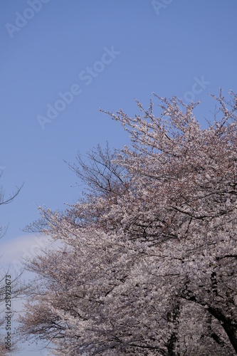 空