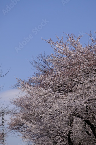 空
