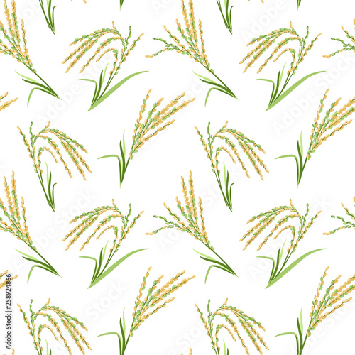 Ears of rice seamless pattern on white background. Vector illustration of cereals in cartoon simple flat style. 
