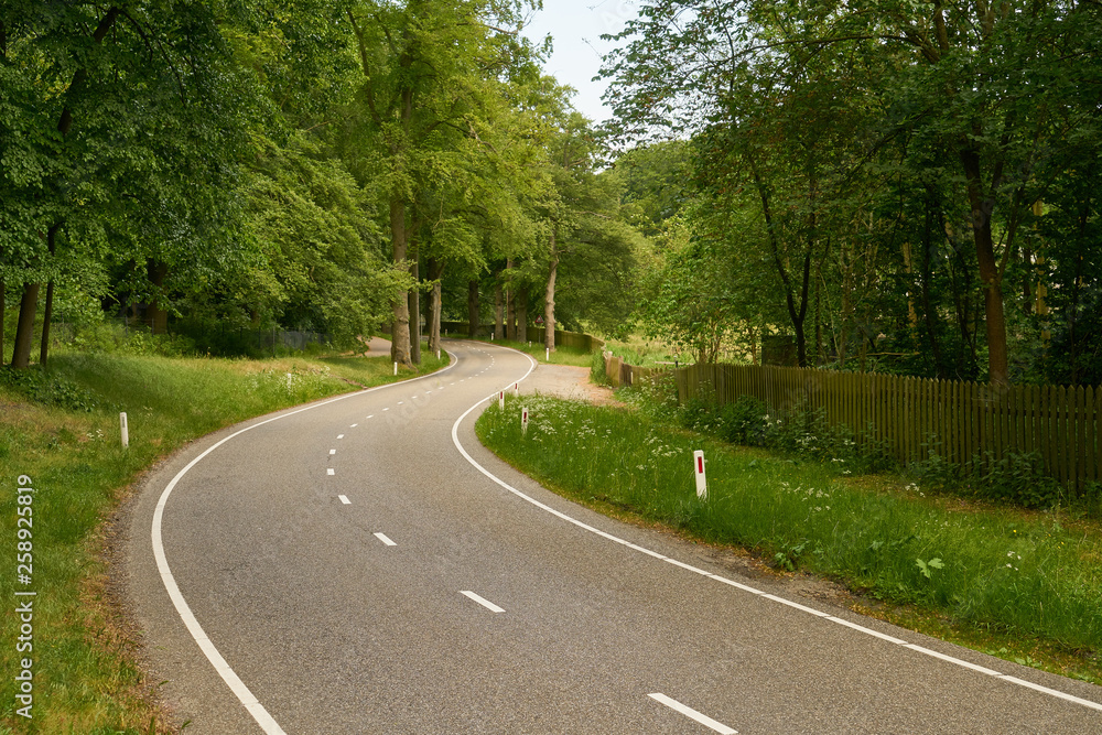 Fototapeta premium S-Kurve auf leeer Straße in Natur
