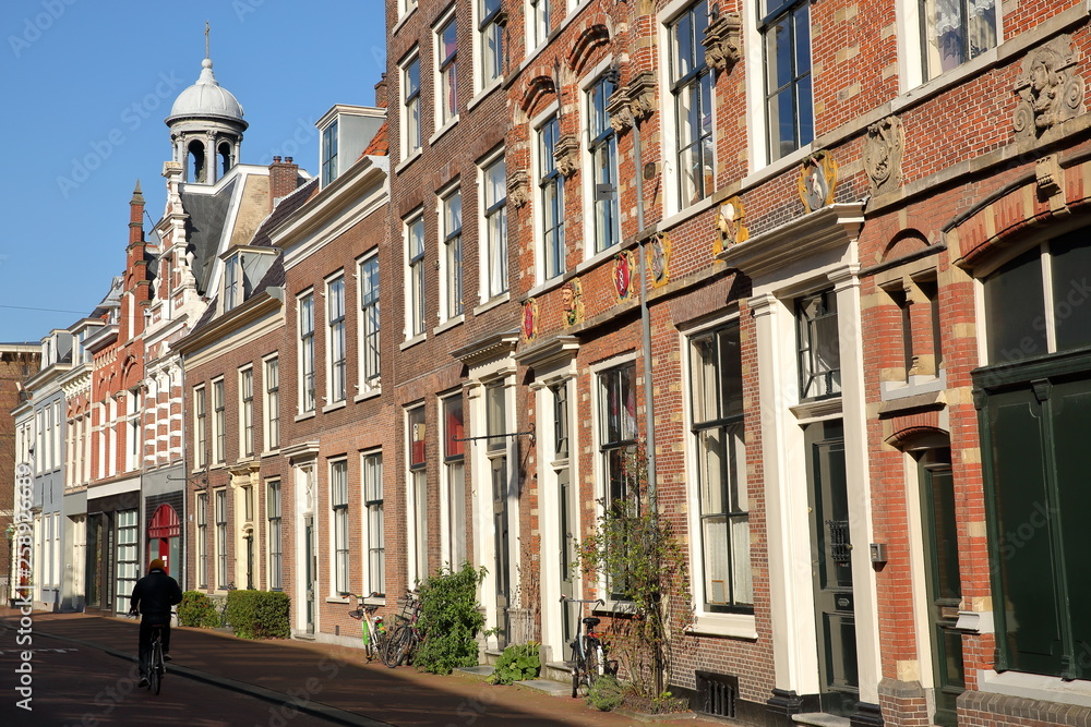 Ornate and colorful traditional houses, located along Jansstraat street in Haarlem, Netherlands, with  the tower of St Josephkerk Church in the background