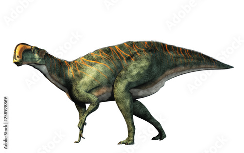 An Altirhinus on a white background.  Altirhinus (high snout) was a type of iguanodon dinosaur of the early Cretaceous period in Mongolia. 3D Rendering © Daniel Eskridge