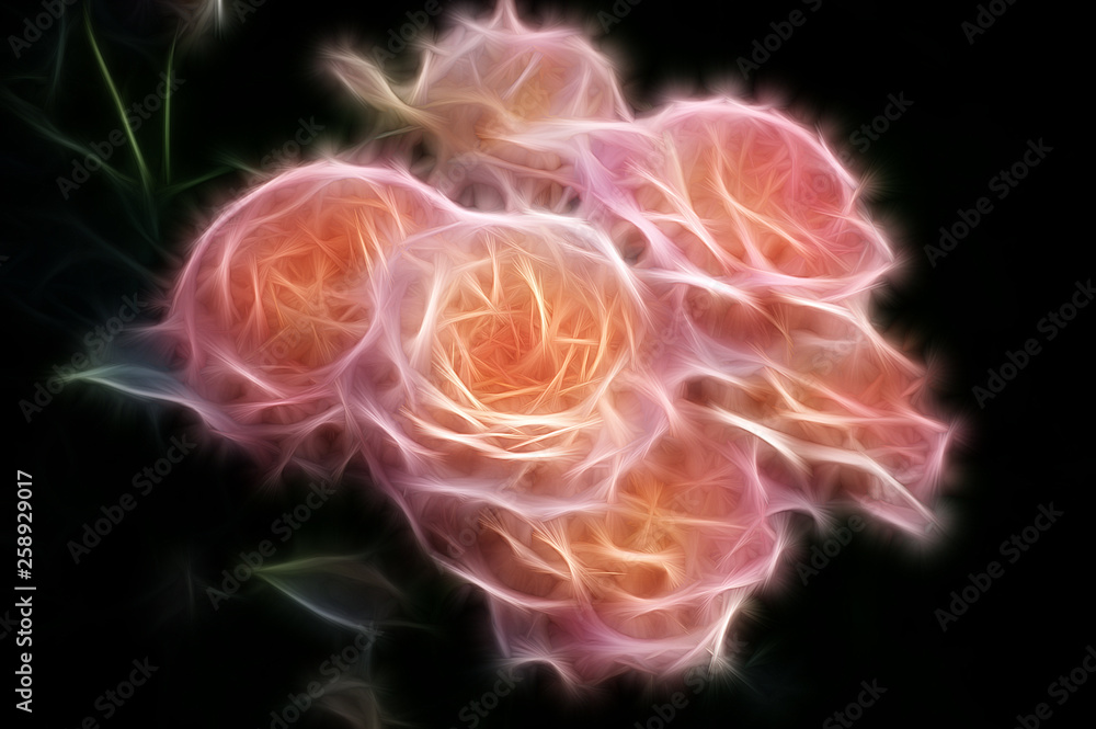 Fractal image of a rose bush with large apricot flowers on a contrasting black background Fractal image of a rose bush with large apricot flowers on a contrasting black background