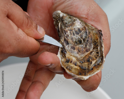 shuck oyster with butter knife