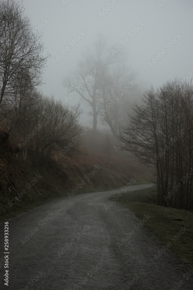 Camino entre la niebla hacia la montaña Camino entre la niebla hacia la montaña