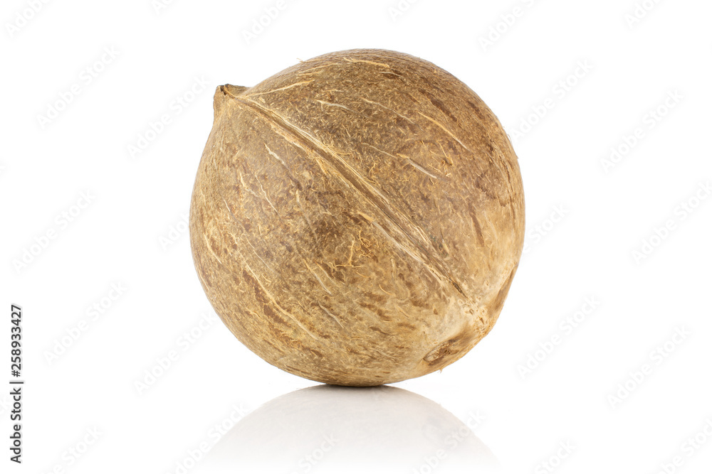 One whole fresh bio coconut isolated on white background One whole fresh bio coconut isolated on white background