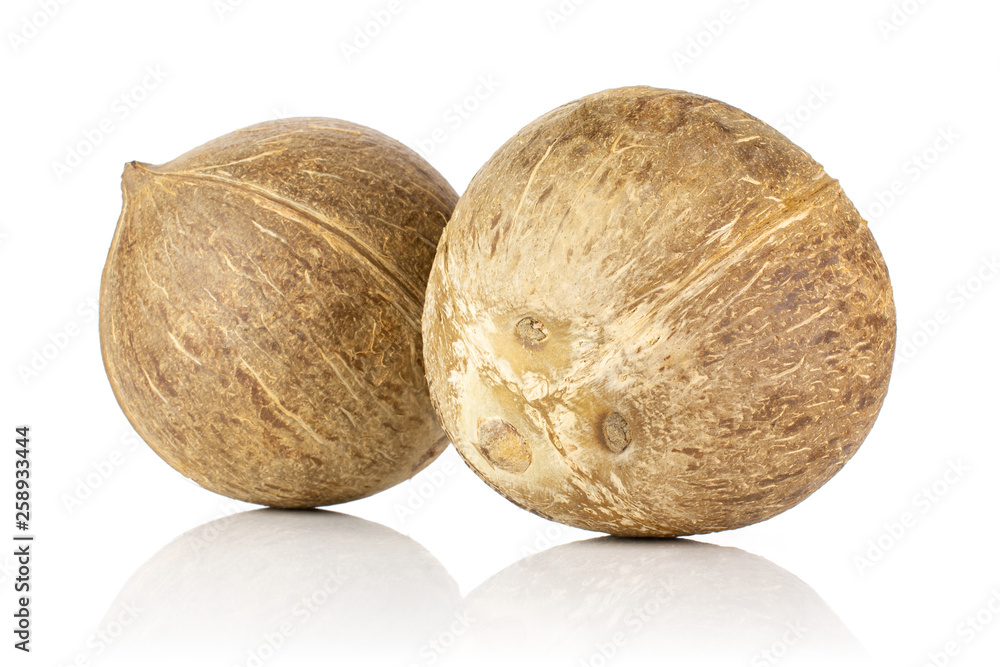 Group of two whole fresh bio coconut isolated on white background Group of two whole fresh bio coconut isolated on white background