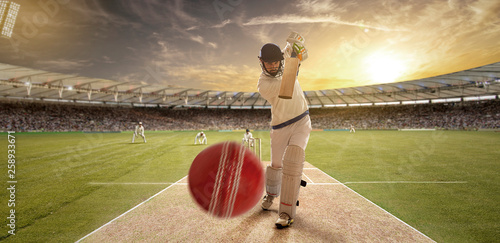 A young sportsman playing cricket with stance of hitting the ball	
