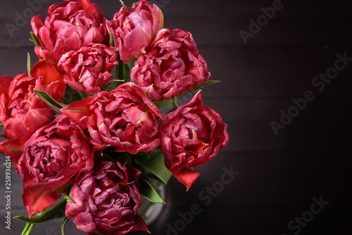 Boquet of red and pink tulips. Floral dark brown background with space for text