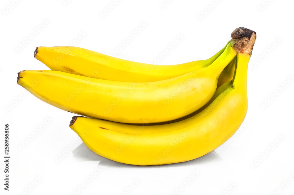 A branch of bright yellow bananas on a white isolated background