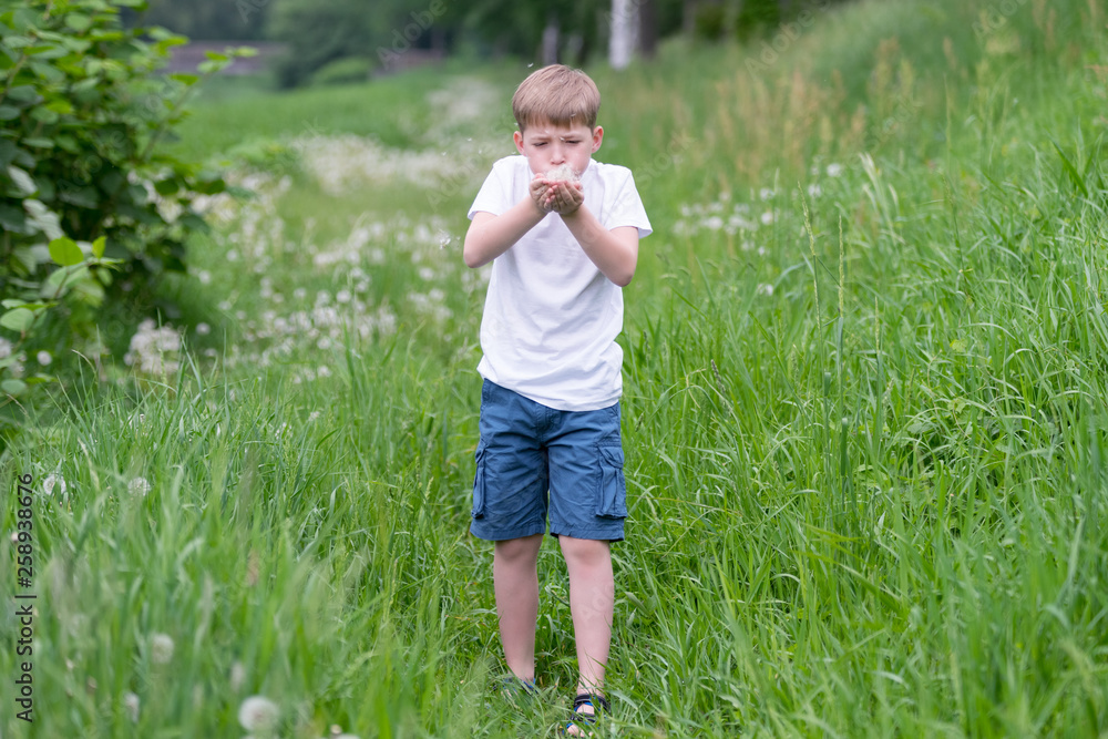 Portrait of a beautiful boy with dandelions. Portrait of a beautiful boy with dandelions.