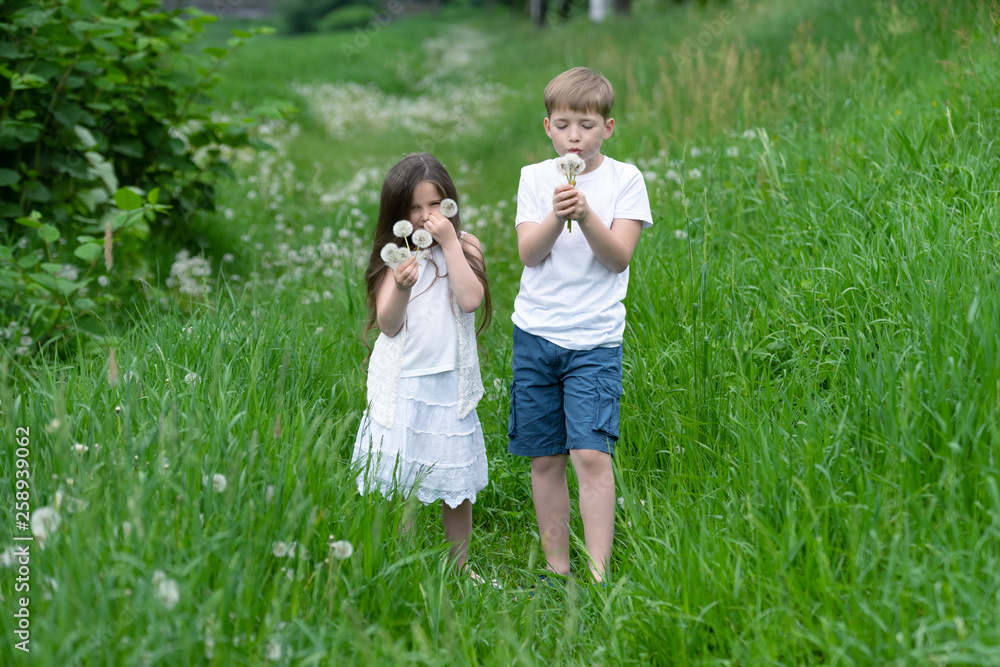 A boy with a girl playing in a field with dandelions. A boy with a girl playing in a field with dandelions.