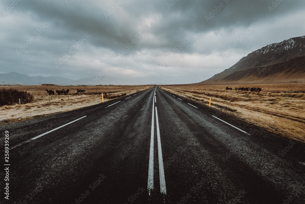 Fototapeta premium Iceland - Ringroad