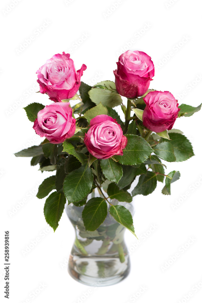 Fototapeta premium bunch of pink flowers in glass vase isolated on white