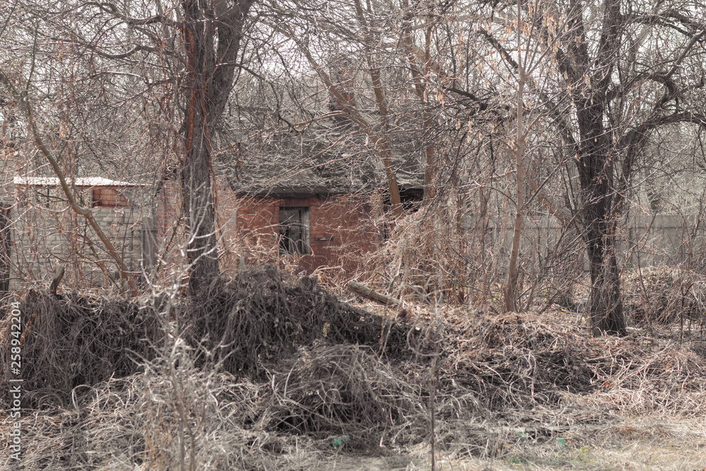 An old abandoned house among the thickets. Abandoned structure covered with overgrown plants An old abandoned house among the thickets. Abandoned structure covered with overgrown plants