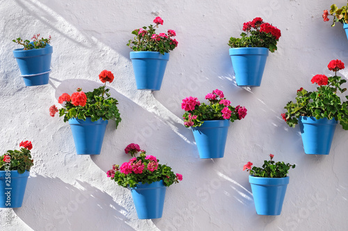 Flower pots decorating on white wall in the old town of Marbella photo