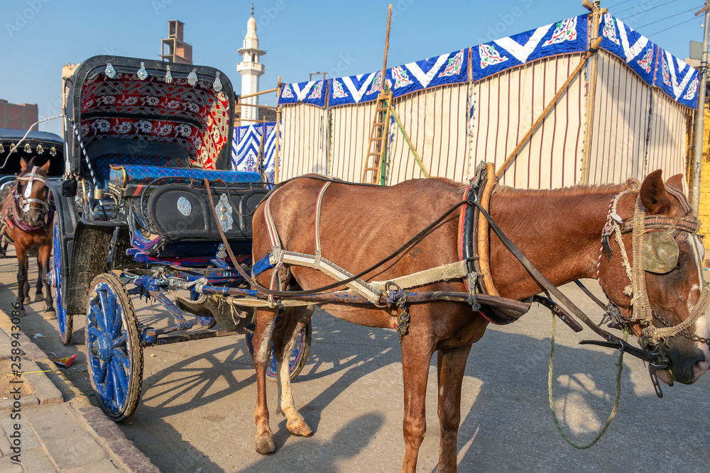 A horse carriage wait for customers next to the River Nile in Edfu. Horse carriages are the commonly used for tourist transportation from cruises to Edfu Temple