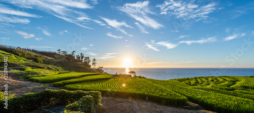 Beautiful Sunset View of Senmaida Rice paddy terrace Wajima Ishikawa Japan photo