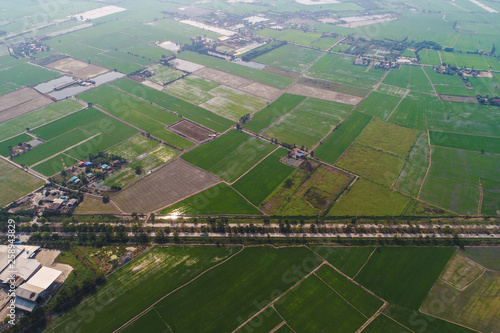 Aerial view green rice plantation in rural village