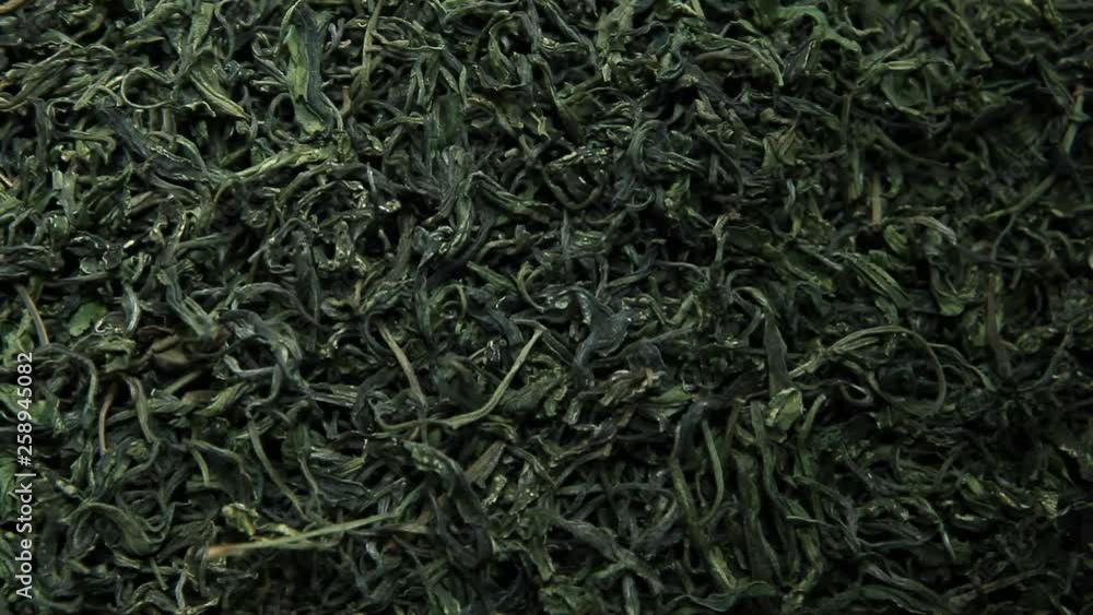 green Chinese tea background nobody green Chinese tea background nobody