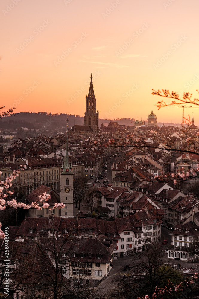 Sonnenuntergang während Kirschblüte in Bern mit Berner Münster und Altstadt